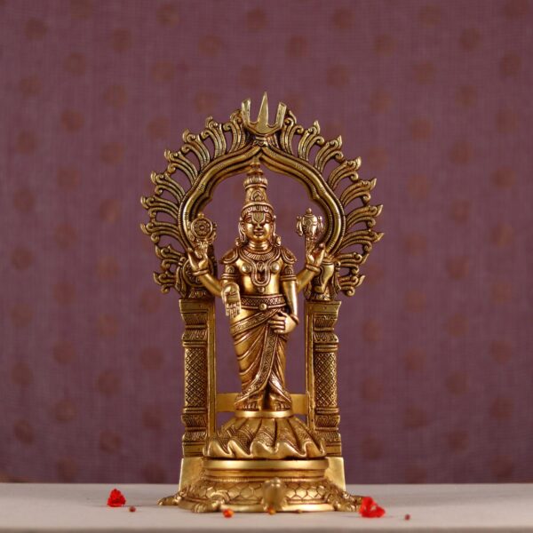 brass tirupati balaji venkateshwar idol on tortoise 17