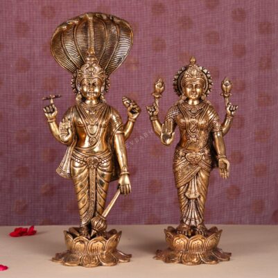 laxmi narayan murti