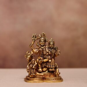 brass shiv family