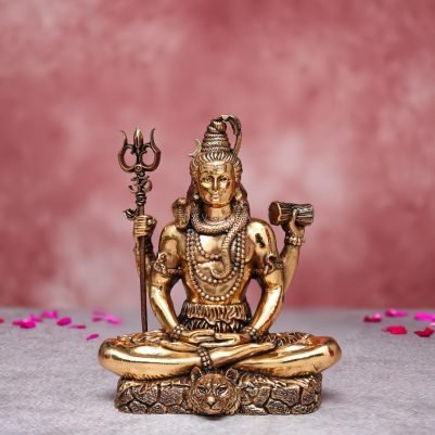 shiva idol